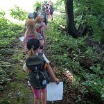 phoca_thumb_m_poklad zajci 10 Fotogalerie